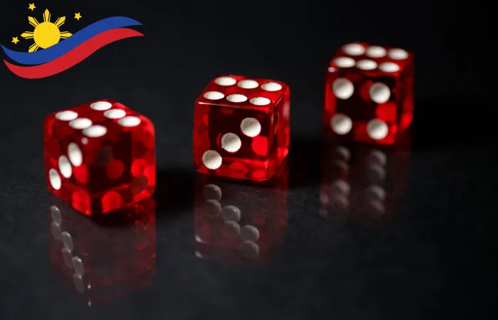 PH365 Dice