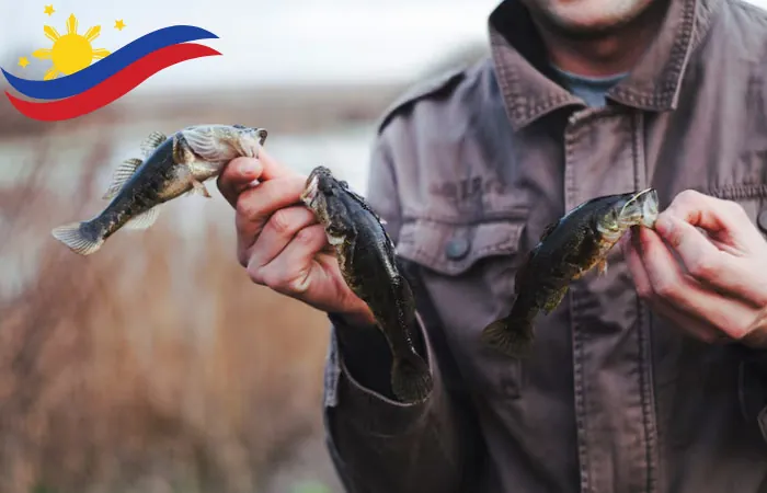 PH365 Fish Hunter